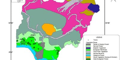 Карта на нигерија покажува вегетација