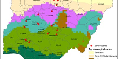 Карта на нигерија покажува исечете дистрибуција